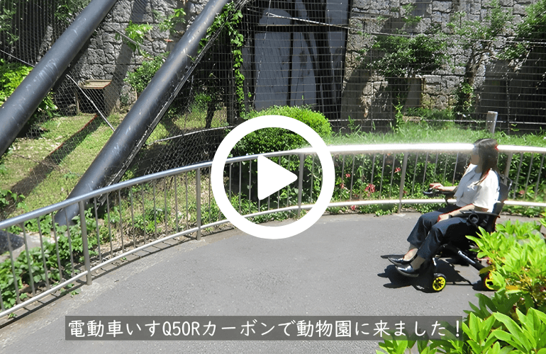 Q50Rカーボンで 多摩動物公園にいきました