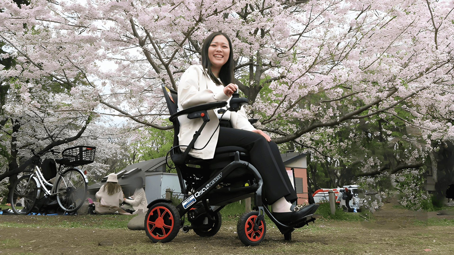 「電動車いす“Ｑ５０Ｒカーボン”でお花見へ行きました。」